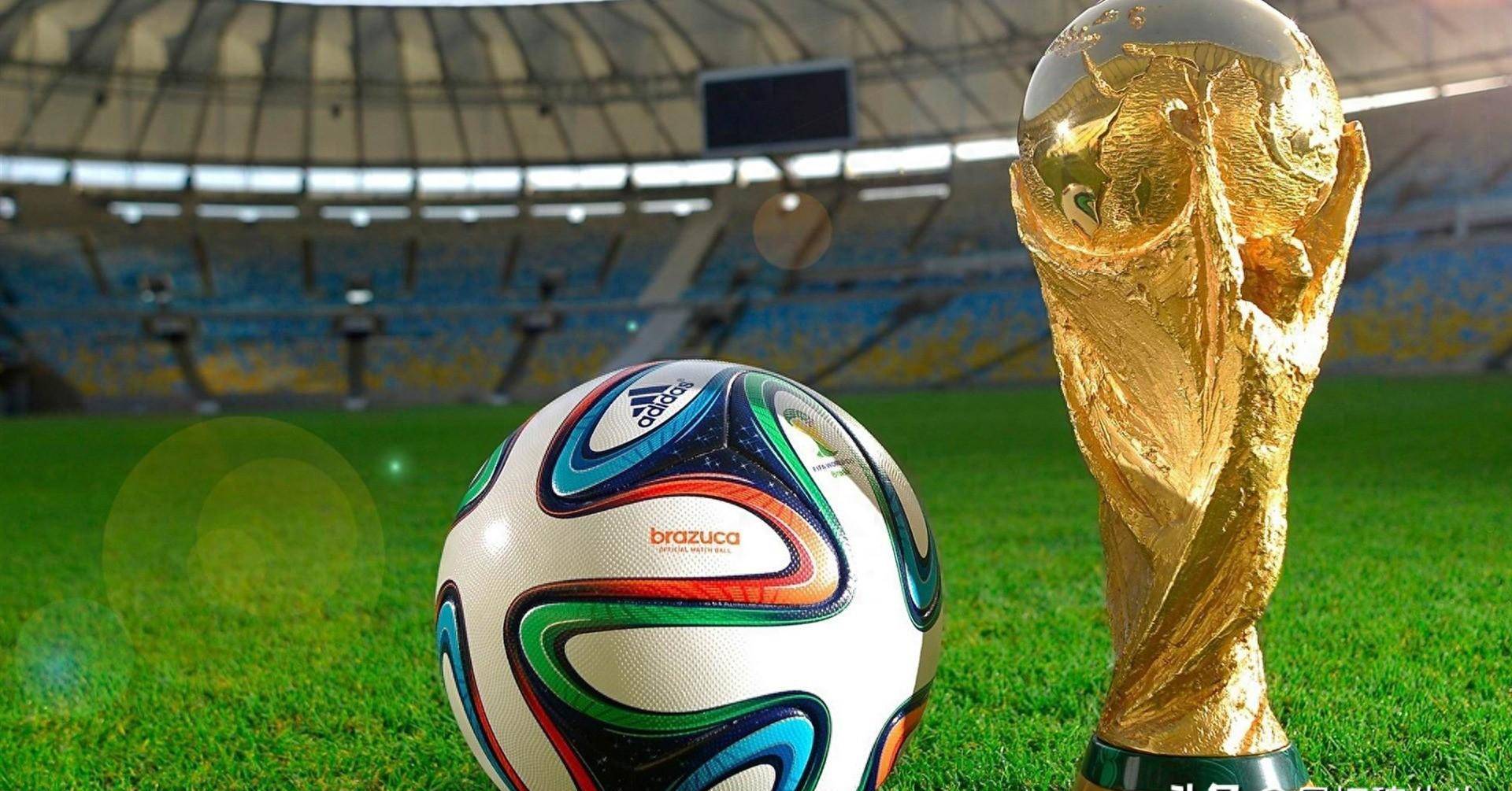 地区局势进 地区局势进