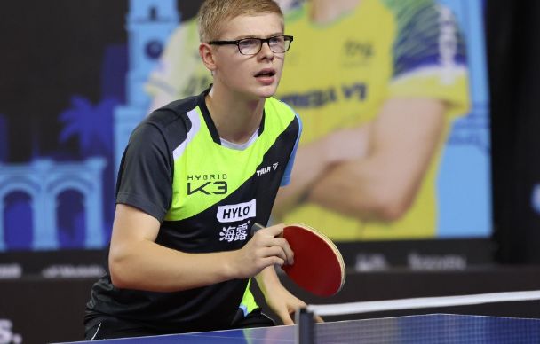 沙等传统豪 沙等传统豪