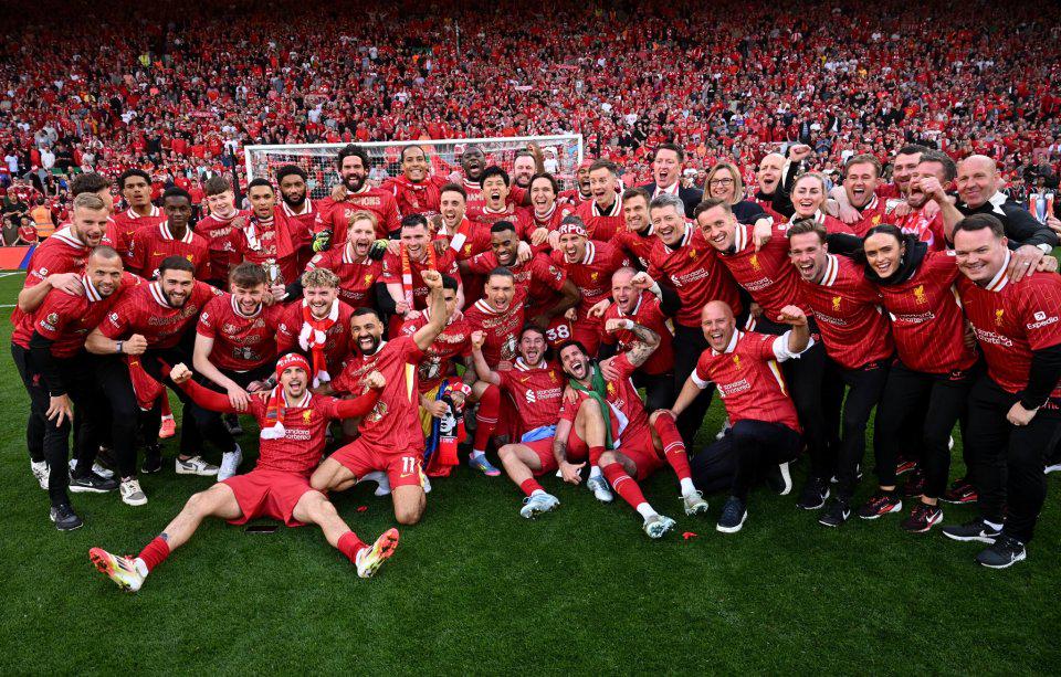 他们想要 他们想要